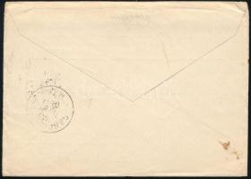 1897 S.A.H.J. céglyukasztásos 3kr Andreas Saxlehner céges nyomtatványon Carlisle / USA-ba