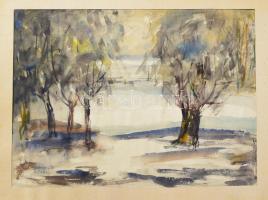 Szilvásy Margit (1898-1977): Vízparti táj. Akvarell, papír, jelzett, paszpartuban, 32×43 cm