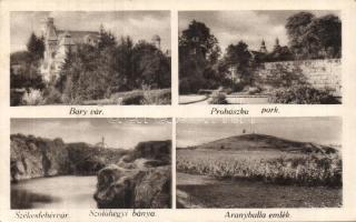 Székesfehérvár a Szőlőhegyi bányával és az Aranybulla emlékkel (fa)