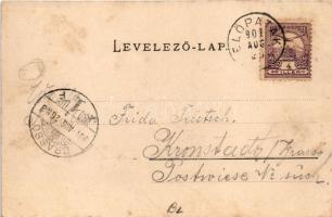 1901 Előpatak, Valcele; fürdő, főforrás, Bogdán villa. Julius Müller utóda kiadása / spa, bath, main...