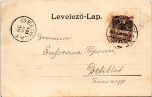 1901 Nagyvárad, Oradea; Szent László tér, Szálloda a Fekete Sashoz, Ausländer üzlete. Helyfi László ...