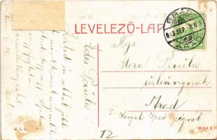 1913 Újszentanna, Santana; látkép, Izraelita imaház, zsinagóga. W. L. Bp. / general view, synagogue ...