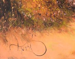 Jakubik István (1968-): Mátrai falu. Olaj, farost, jelzett. Dekoratív fakeretben. 40x80 cm