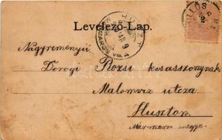 1900 Nagyszőlős, Nagyszőllős, Vynohradiv (Vinohragyiv), Sevljus, Sevlus; Báró Perényi Zsigmond kasté...