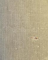 Feleky Zoltán (-), XX. sz. első fele-közepe: Hegyvidéki táj fácánnal (Tátra?). Olaj, vászon, jelzett...