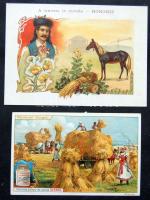 Magyarország: francia litho reklámkártya 12x9 cm (saroktörés) + Magyarország Liebig-kátrya