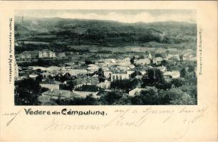 1901 Campulung Muscel, Hosszúmező, Kimpolung, Cimpolung (Arges); Vedere. N. Manolescu, Fotografie E. R. Speek / general view