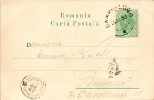1901 Campulung Muscel, Hosszúmező, Kimpolung, Cimpolung (Arges); Vedere. N. Manolescu, Fotografie E....