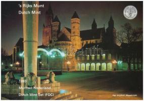 Hollandia 1993. 5c-2 1/2G (6xklf) forgalmi sor karton tokban, pénzverdei zsetonnal, fólia borítékban...