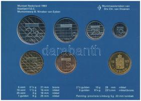 Hollandia 1993. 5c-2 1/2G (6xklf) forgalmi sor karton tokban, pénzverdei zsetonnal, fólia borítékban...