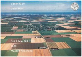 Hollandia 1989. 5c-2 1/2G (6xklf) forgalmi sor karton tokban, pénzverdei zsetonnal, fólia borítékban T:UNC Netherlands 1989. 5 Cent - 2 1/2 Gulden (6xdiff) coin set in cardboard case and Coin Mint jeton, in foil envelope C:UNC