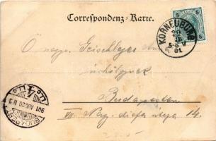1901 Korneuburg, K.u.K. Eisenbahn- und Telegrafen-Regiment, Feld-Telegrafen-Station. Verlag v. Joh. ...