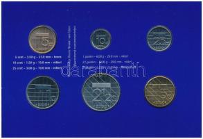 Hollandia 2000. 5c-5G (6xklf) forgalmi sor karton dísztokban, fólia borítékban T:UNC Netherlands 200...