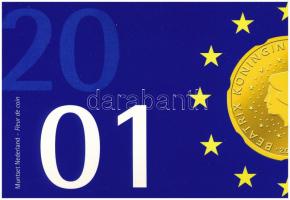 Hollandia 2001. 5c-5G (6xklf) forgalmi sor karton dísztokban, fólia borítékban T:UNC Netherlands 2001. 5 Cents - 5 Gulden (6xdiff) coin set in cardboard case and foil envelope C:UNC