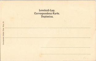 1904 Hegedűs Sándor egycsavaros tengeri személy és áruszállító gőzhajó. Szecessziós zászlós litho / ...