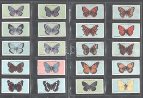 Wills's Cigarettes brit cigaretta-gyűjtőkártyák, 50 db-os komplett sorozat (pillangók), albumlapokon / British cigarette cards, complete series of 50 (Butterflies), in album sheets