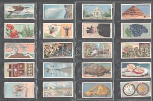 Wills's Cigarettes brit cigaretta-gyűjtőkártyák, 50 db-os komplett sorozat ("Tudod-e... ?"), albumlapokon / British cigarette cards, complete series of 50 ("Do You Know... ?"), in album sheets