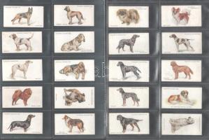Player's Cigarettes brit cigaretta-gyűjtőkártyák, 50 db-os komplett sorozat (kutyák), albumlapokon / British cigarette cards, complete series of 50 (Dogs), in album sheets
