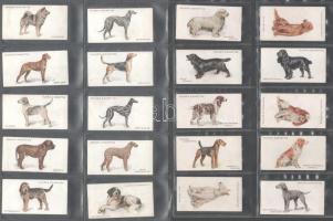 Player's Cigarettes brit cigaretta-gyűjtőkártyák, 50 db-os komplett sorozat (kutyák), albumlapo...