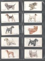 Player's Cigarettes brit cigaretta-gyűjtőkártyák, 50 db-os komplett sorozat (kutyák), albumlapo...