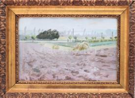 ifj. Czene Béla (1911-1999): Vörös földek, 1950-60 körül. Tempera, papír. jelzés nélkül, hátoldalán korabeli címkén feliratozott, 28x43 cm. Dekoratív, üvegezett, kissé sérült fakeretben.