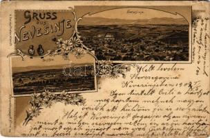 Nevesinje, Bojiste. H. Reichsthaler (Wien) / general view. Art Nouveau, floral, litho (tears)