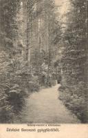 Borosznó gyógyfürdő promenade (Rb)