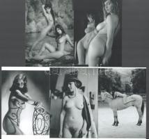 Öt kép, hat lány, eltérő időben készült, szolidan erotikus felvételek, 5 db modern nagyítás, jelzés nélkül, 15x10 cm