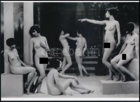 cca 1910 "Hölgyek paradicsoma", szolidan erotikus felvétel, 1 db modern nagyítás, jelzés n...