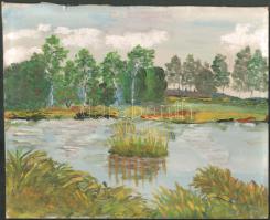 Jelzés nélkül: Vízparti táj. Olaj, karton, 27×34 cm