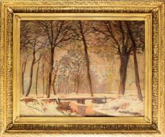 Mednyánszky jelzéssel: Táj. Olaj, vászon, dublírozott, restaurált. 55,5x68 cm. Dekoratív fakeretben.