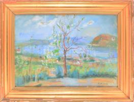 Mattioni Eszter (1902-1993): Virágzó fa, 1950-es évek. Olaj, vászon. Jelzett. Hátoldalán Képcsarnok Vállalat címkéjével. Dekoratív, üvegezett, sérült fakeretben. 50×70 cm.