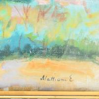 Mattioni Eszter (1902-1993): Virágzó fa, 1950-es évek. Olaj, vászon. Jelzett. Hátoldalán Képcsarnok ...