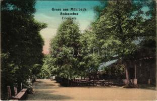 1916 Szászsebes, Mühlbach, Sebesul Sasesc, Sebes; Erlenpar. Johann Rilki / park + "K.u.k. Mil. Briefzensor Brassó" (EK)