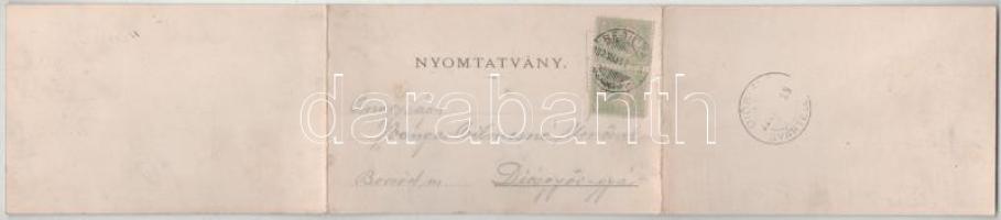 1902 Resicabánya, Resica, Resicza, Resita; vasgyár. Weiss A. kiadása, 3-részes kihajtható panorámala...