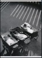 cca 1954 Vadas Ernő (1899-1962) budapesti fotóművész és fotóriporter felvétele, 1 db modern nagyítás, jelzés nélkül, 21x15 cm