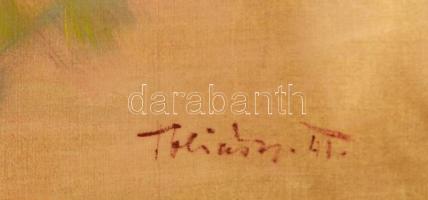 Tóbiás György (1902-1968): Napfényes utca, 1941. Olaj, vászon. Jelezve jobbra lent. Dekoratív fakere...