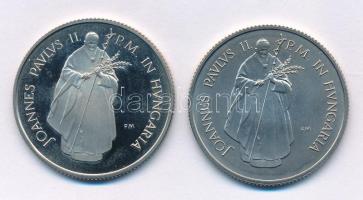 1991. 100Ft Cu-Ni "II. János Pál pápa látogatása" (2xklf) mindkettő kapszulában T:BU, UNC ...