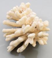 Nagyméretű korall, h: 24 cm