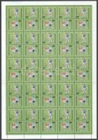 1998 Labdarúgó VB teljes hajtott ívben