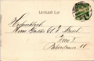 1908 Hódmezővásárhely, Vásárhelyi Tiszapart, Tű-farok (Várady ph.). Grossmann Benedek utóda kiadása,...