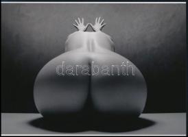 cca 1979 "Nagylátószögű, békaperspektíva", szolidan erotikus felvétel, 1 db modern nagyítá...