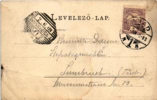 1901 Arad, Lyceum. Römmler &amp; Jonas (Dresden) / school (ázott sarok / wet corner)