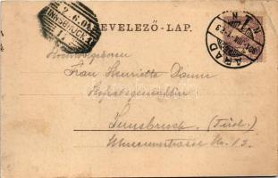 1901 Arad, Városháza. Römmler &amp; Jonas / town hall (EB)