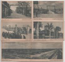 Oswiecim-Brzezinka, Auschwitz-Birkenau; 11 db RÉGI képeslap, közte 1 panoráma lap: koncentrációs táb...