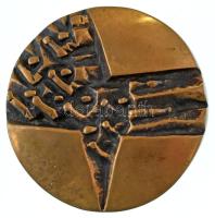 DN "Edelényért" kétoldalas, öntött bronz plakett (~100-101mm) T:AU