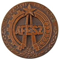 DN "ÁFÉSZ - Munkásévek emlékére" öntött bronz plakett (~90mm) T:AU
