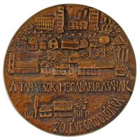 1970. "A tanácsok megalakulásának 20. évfordulójára / A sátoraljaújhelyi Járási Tanácstól 1970.VIII.20." kétoldalas öntött bronz emlékplakett T:XF