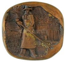 Asszonyi Tamás (1942-) 1970. "125 éves az ózdi gyár" egyoldalas, öntött bronz plakett (118x125mm) T:AU, patina