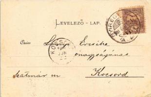 1900 Nyíregyháza, Városháza, Schatz Károly, Bacher Gyula, Horn K., Ferenczi, Deutsch Sámuel üzlete. ...